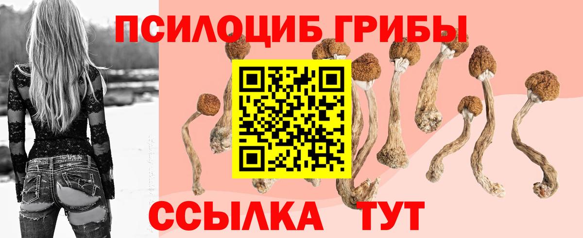 Верхняя Пышма  Галлюциногенные грибы прущие грибы  Вход с VPN  Псилоцибиновые грибы Cubensis 